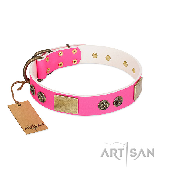 Incredible natural genuine leather dog collar for fancy walking
