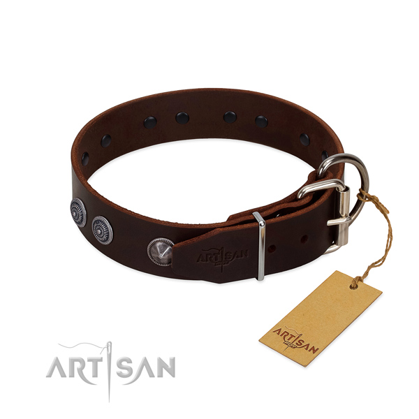 Handmade genuine leather dog collar for basic training