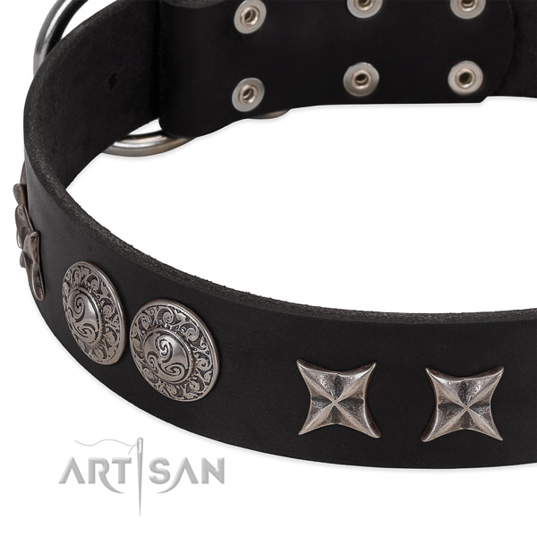 Unique full grain leather dog collar with strong traditional buckle