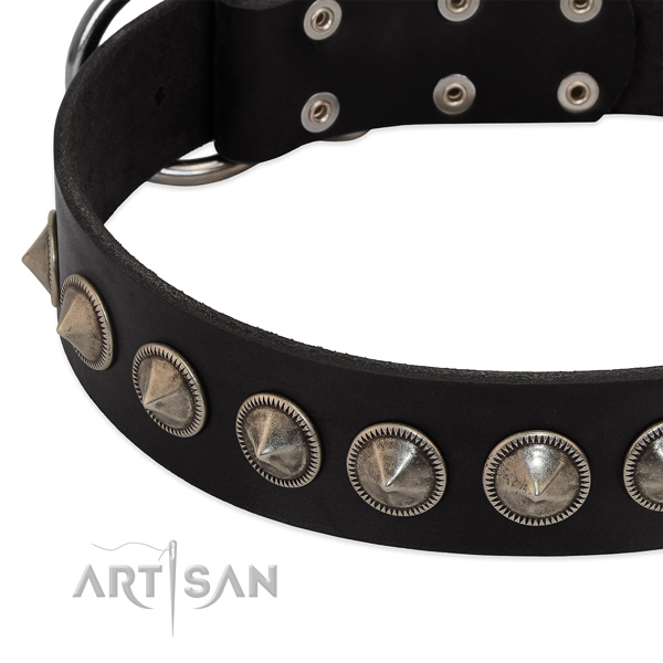 Daily walking decorated natural leather collar for your canine