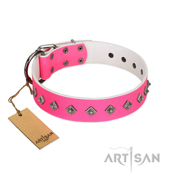 Full grain leather dog collar with impressive adornments crafted canine
