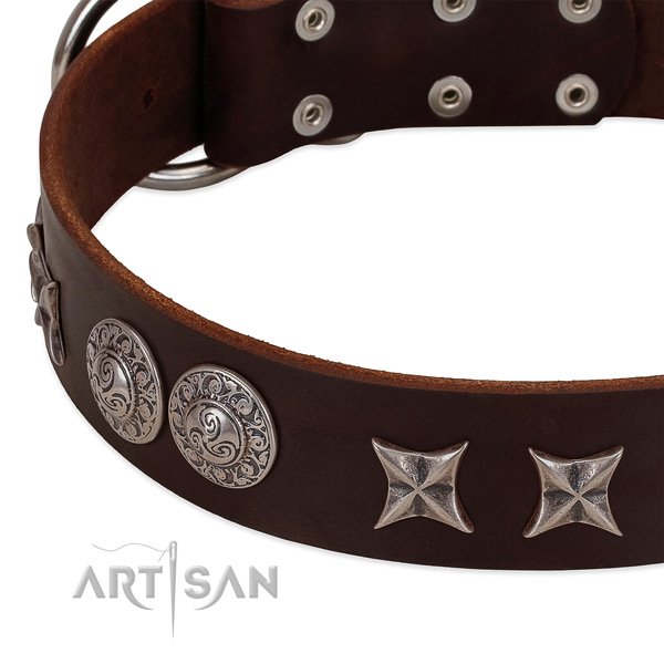 Unusual full grain genuine leather dog collar with corrosion resistant hardware