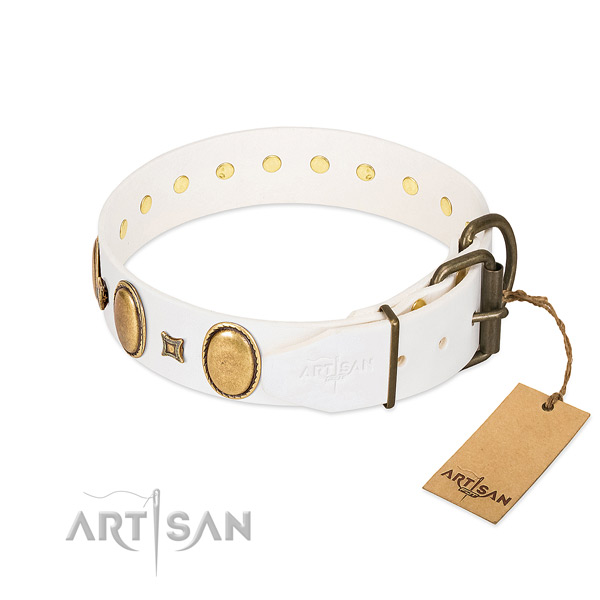 Durable adornments on daily walking dog collar