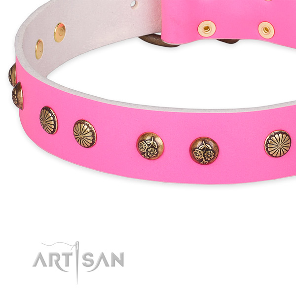 Full grain leather collar with strong buckle for your impressive canine