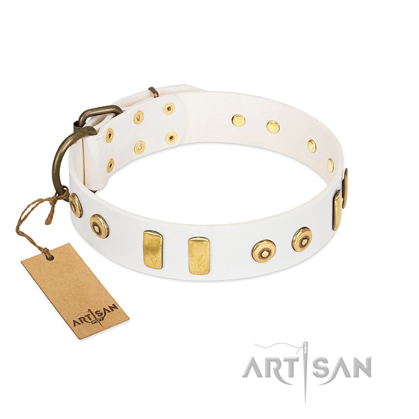 Full grain leather dog collar with exceptional embellishments for daily use
