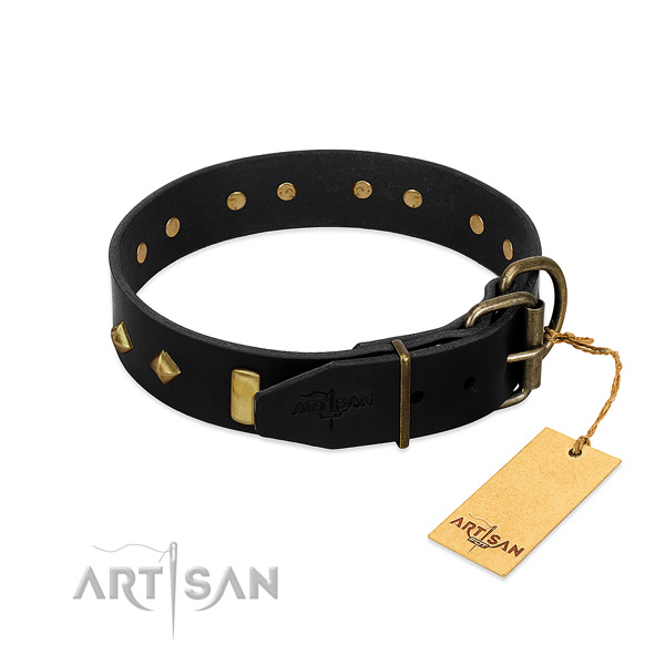 Top notch natural leather dog collar with fashionable studs