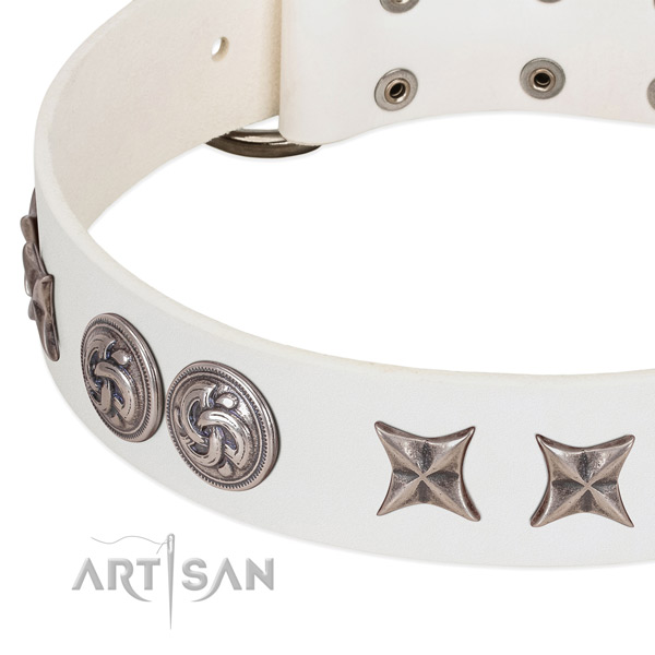 Full grain leather collar with incredible decorations for your four-legged friend