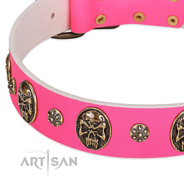Incredible dog collar handmade for your beautiful doggie