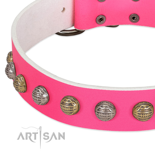 Corrosion resistant hardware on full grain natural leather collar for walking your four-legged friend