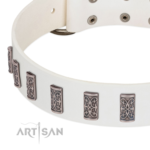 Amazing full grain leather collar for your dog everyday walking