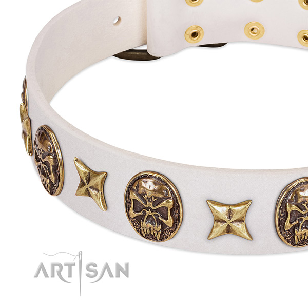 Full grain leather dog collar with reliable D-ring