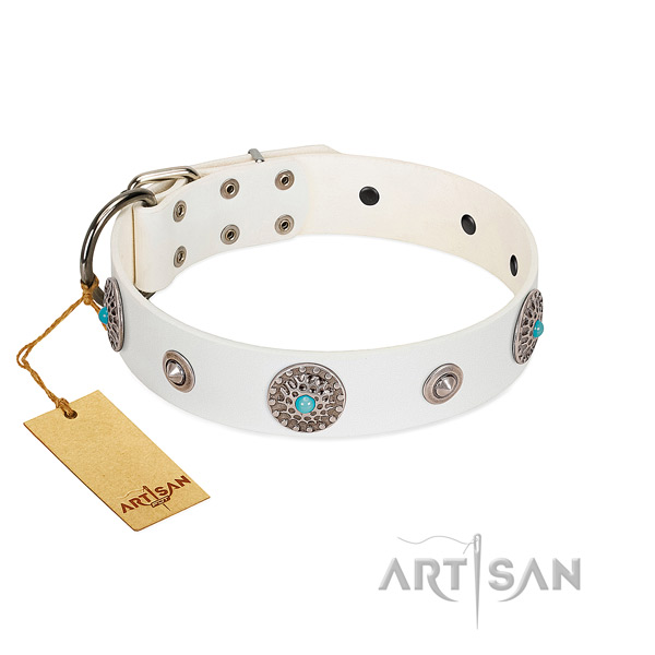 Quality genuine leather dog collar made for your four-legged friend
