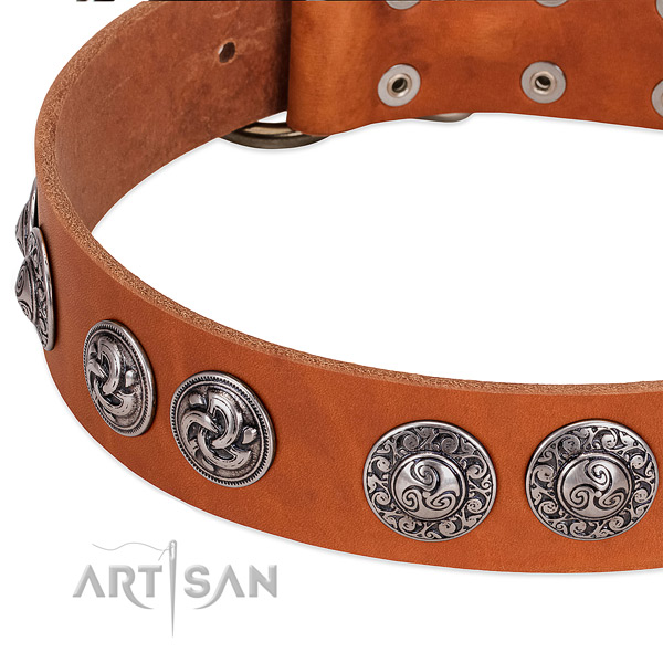 Easy to adjust genuine leather dog collar for walking