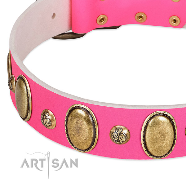 Daily walking flexible leather dog collar