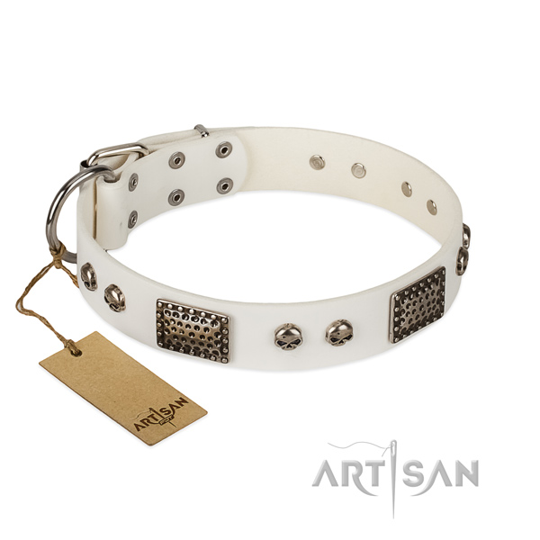 Easy adjustable natural genuine leather dog collar for stylish walking your dog