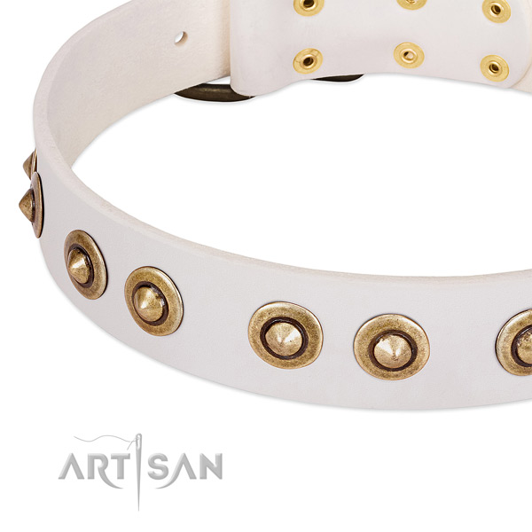 Reliable embellishments on full grain genuine leather dog collar for your doggie