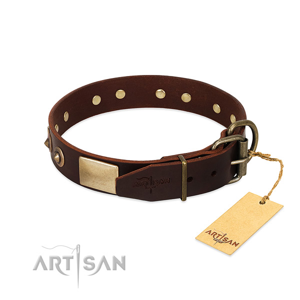 Rust-proof hardware on handy use dog collar