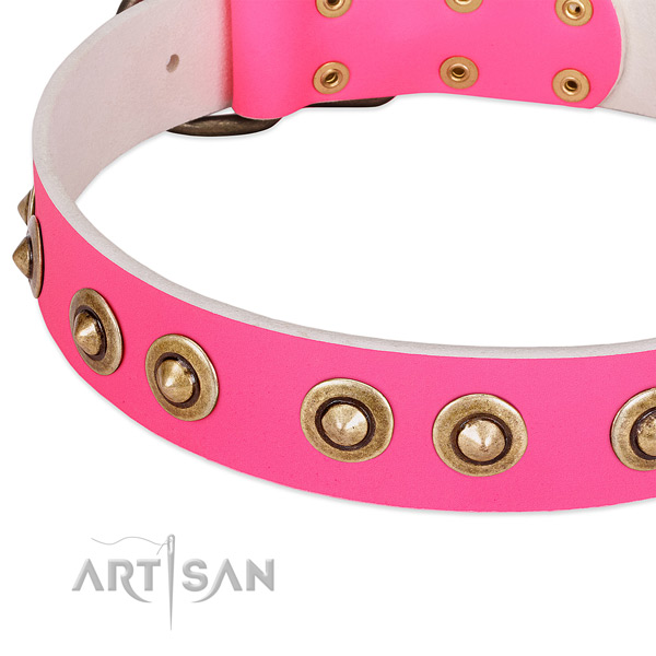 Reliable studs on full grain genuine leather dog collar for your pet