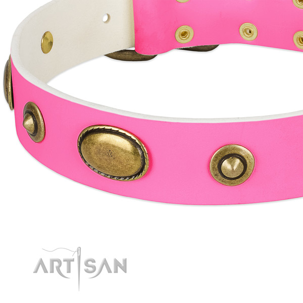 Corrosion resistant buckle on full grain natural leather dog collar for your canine