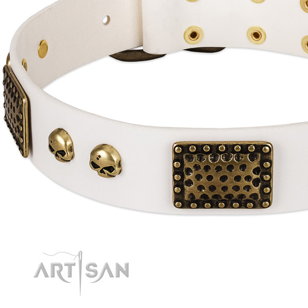 Corrosion proof buckle on full grain leather dog collar for your doggie