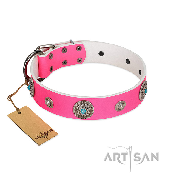 High quality leather dog collar created for your canine
