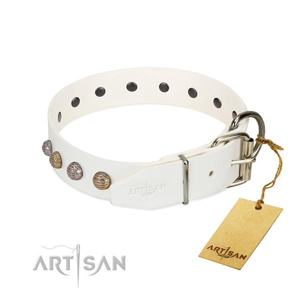 Everyday walking best quality leather dog collar with embellishments