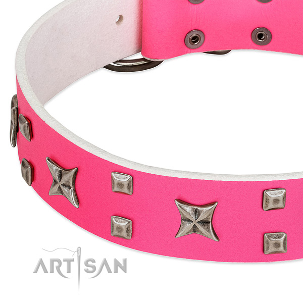 Significant genuine leather collar for your canine walking in style