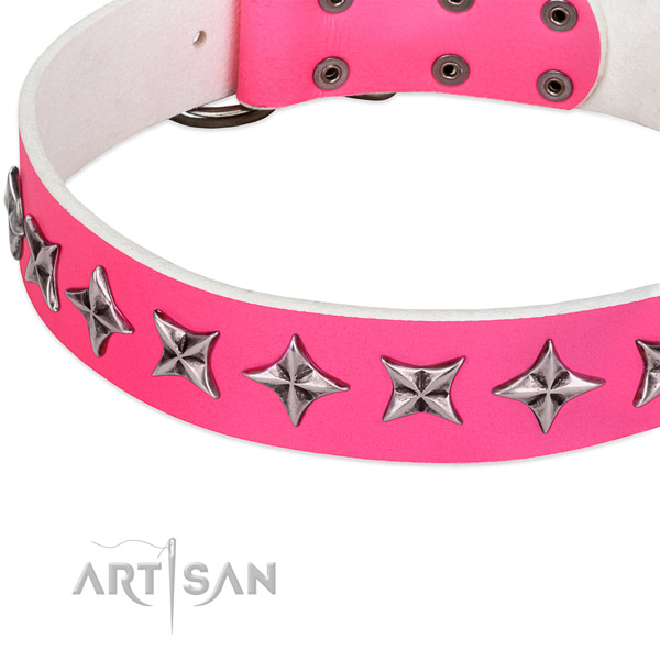 Everyday walking decorated dog collar of strong full grain natural leather