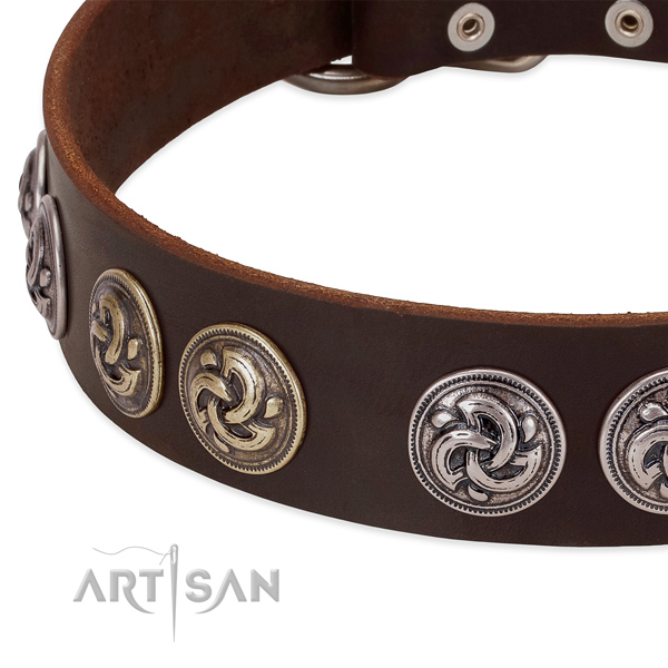 Incredible full grain leather collar for your doggie walking in style