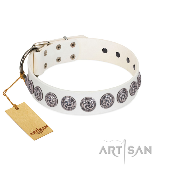 Top notch full grain genuine leather dog collar with durable fittings