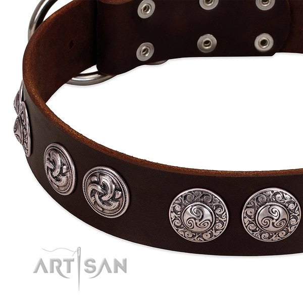 Incredible full grain genuine leather collar for your canine stylish walks