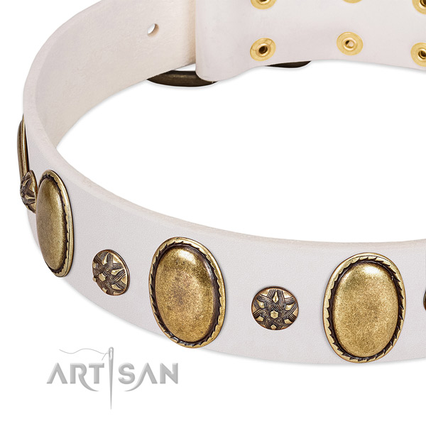 Easy wearing top notch leather dog collar with embellishments