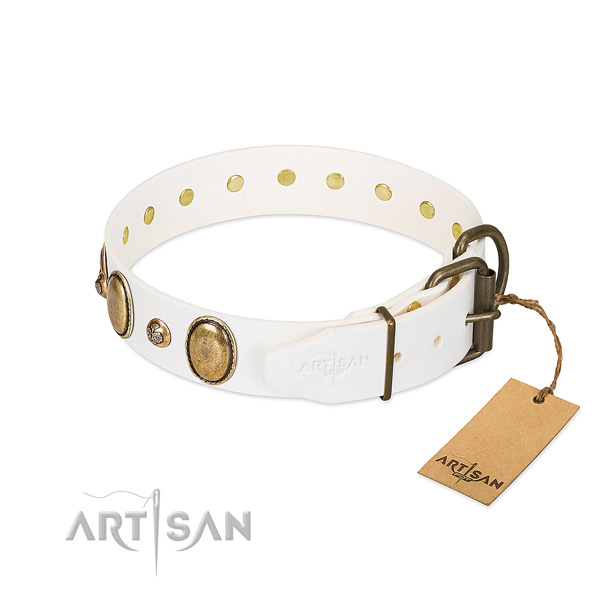 Daily use leather dog collar