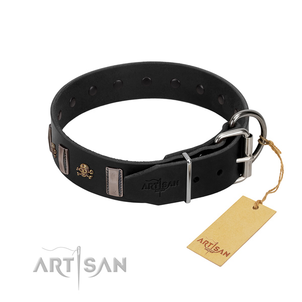 Everyday use quality genuine leather dog collar with embellishments