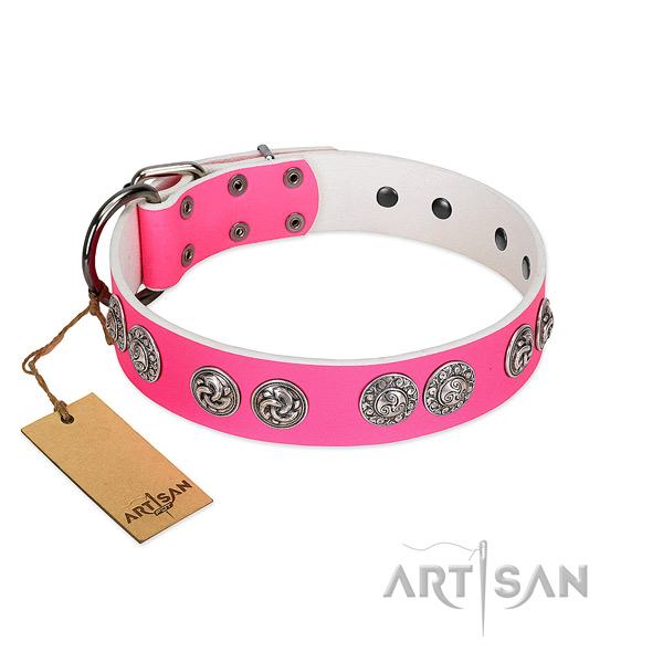 Exceptional full grain natural leather collar for your four-legged friend daily walking