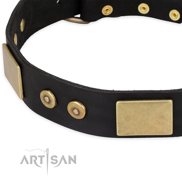 Reliable hardware on natural genuine leather dog collar for your dog