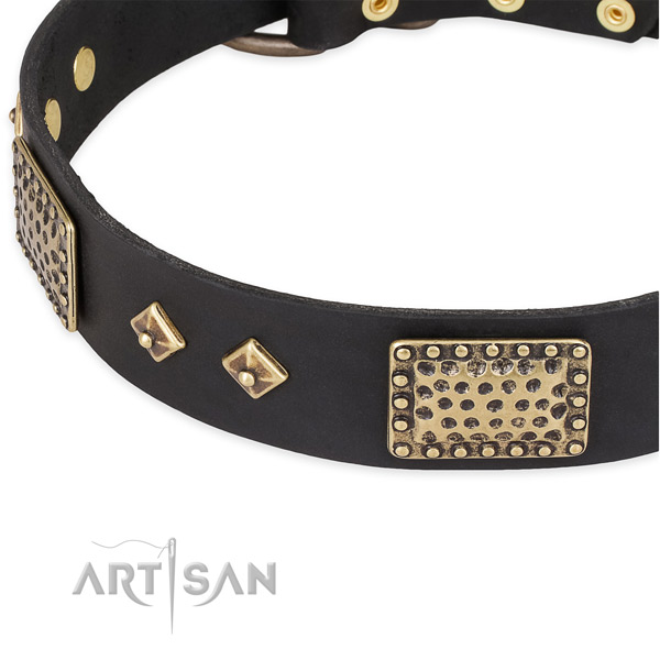 Corrosion proof adornments on full grain natural leather dog collar for your canine