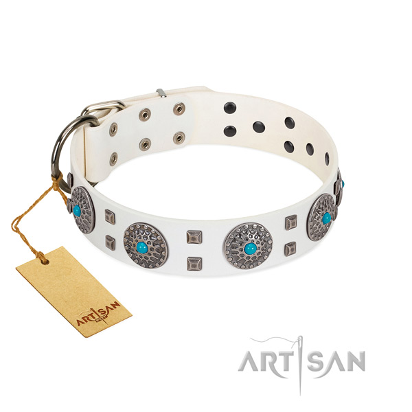 Comfy wearing full grain genuine leather dog collar with exceptional embellishments