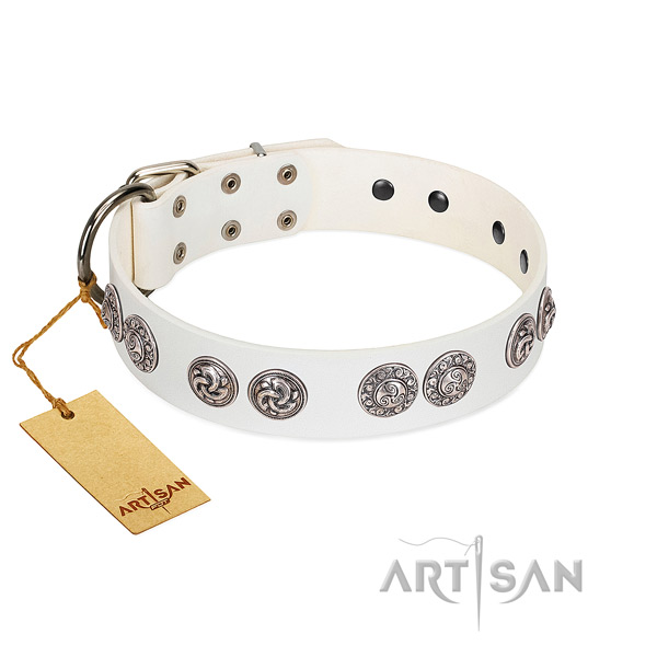 Significant leather collar for your dog daily walking