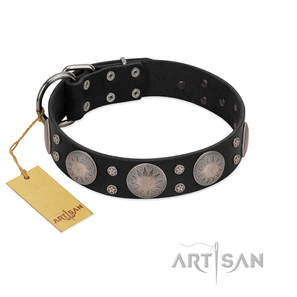 Amazing decorated genuine leather dog collar