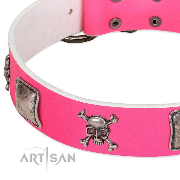 Durable fittings on full grain natural leather dog collar for everyday walking