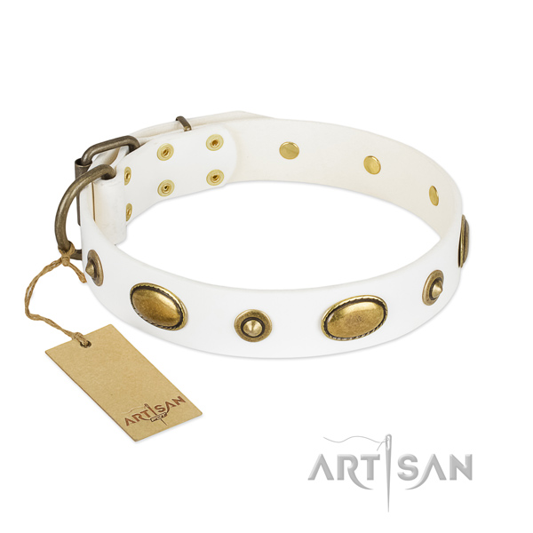 Incredible genuine leather collar for your dog