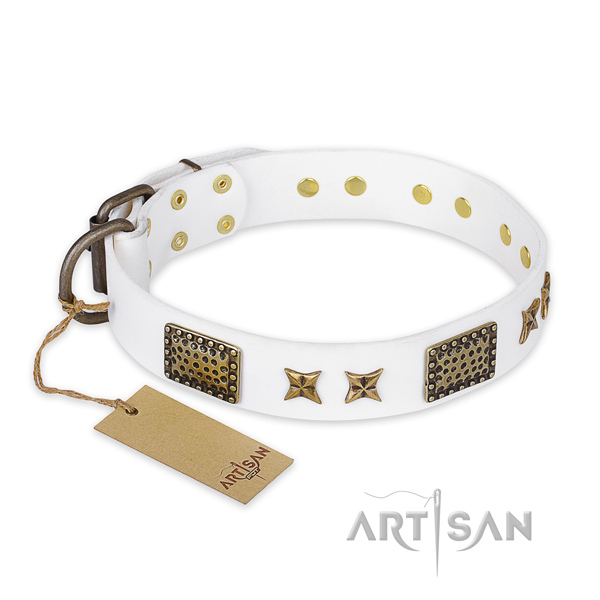 Perfect fit leather dog collar with rust-proof buckle