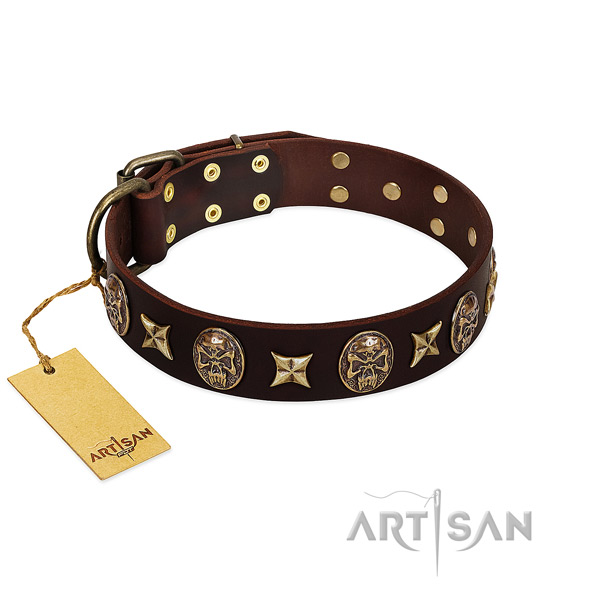Incredible leather collar for your four-legged friend