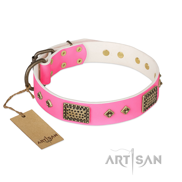 Easy to adjust full grain genuine leather dog collar for everyday walking your pet