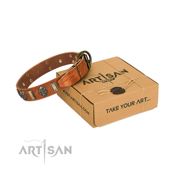 Corrosion resistant fittings on leather dog collar for daily use