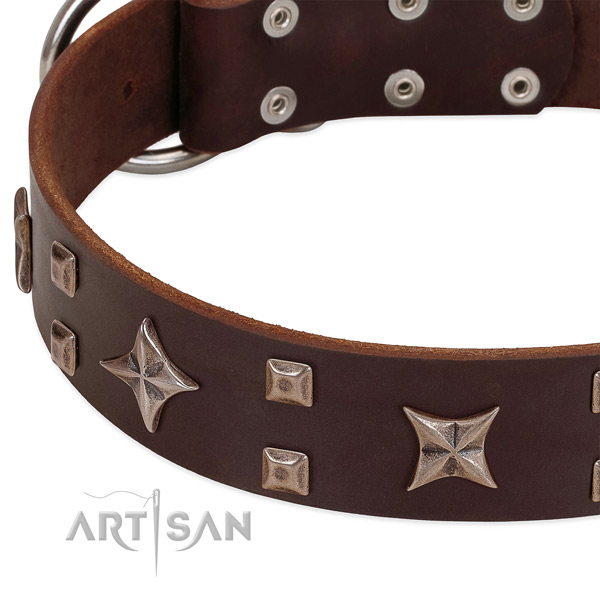 Rust resistant fittings on genuine leather collar for fancy walking your doggie