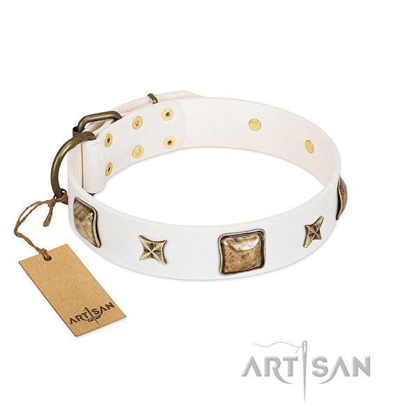 Studded genuine leather dog collar for everyday walking