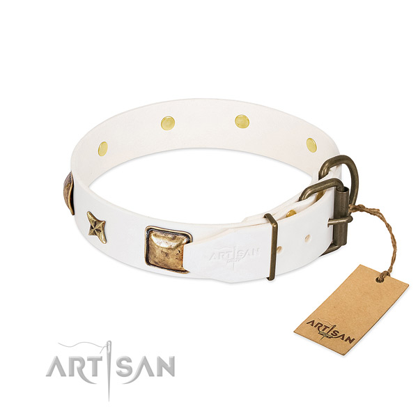Full grain genuine leather dog collar with reliable buckle and embellishments