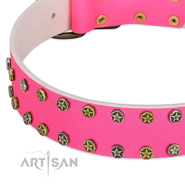 Top rate natural leather collar with decorations for your four-legged friend